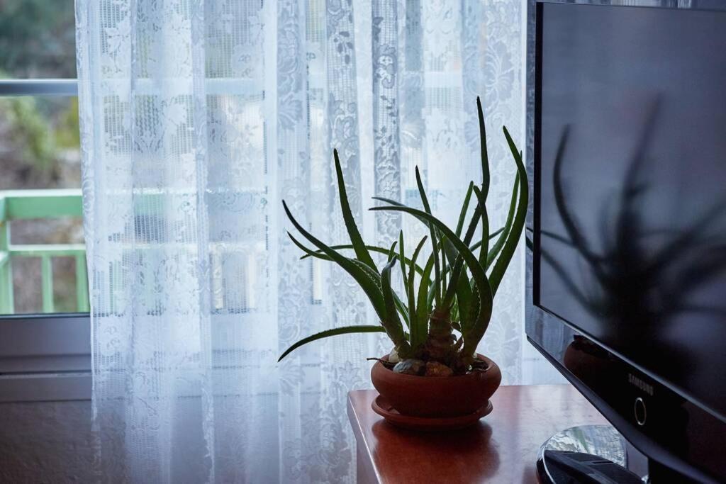 Art Luxury Designer Apartment Dráma Zewnętrze zdjęcie